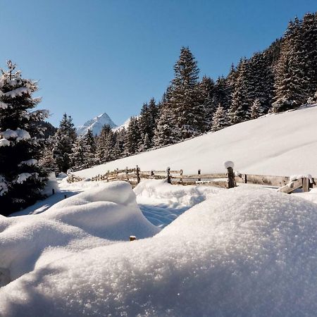 Krapfhof Villa Gries im Sellrain Dış mekan fotoğraf